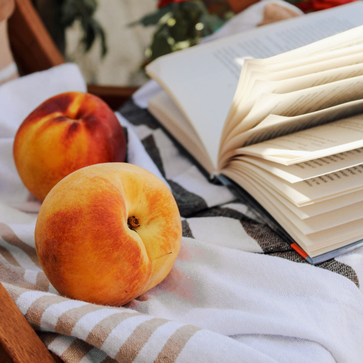 Peach<br> Fragrance Oil image 0