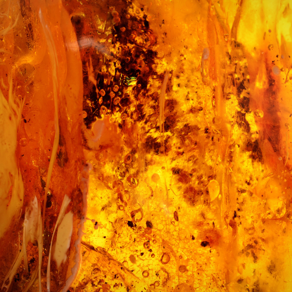 Spiced Black Oud Premium Fragrance Oil image 5