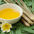Citronella<br> Fragrance Oil image 0