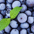 Minted Blueberry Fragrance Oil image 0