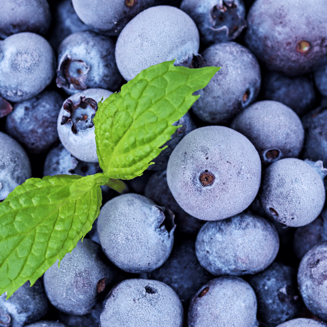 Minted Blueberry Fragrance Oil image 0