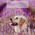 Happy Tails AromEffex Fragrance Oil image 0