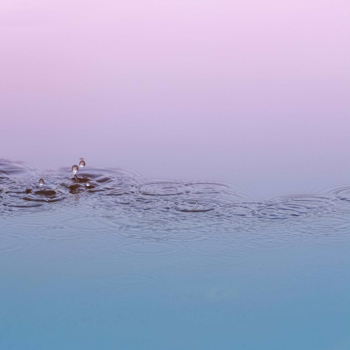 Rain Water<br> Fragrance Oil image 0