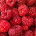 Raspberry<br> Fragrance Oil image 0
