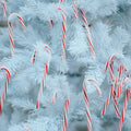 Candy Cane Fragrance Oil image 0