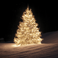 Christmas Wonderland<br> Fragrance Oil image 0