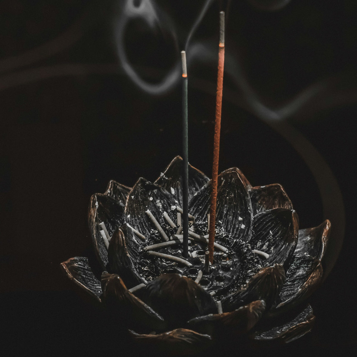 Sandalwood<br> Fragrance Oil image 0