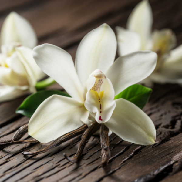 Rosewood & Musk <br> Premium Fragrance Oil image 4