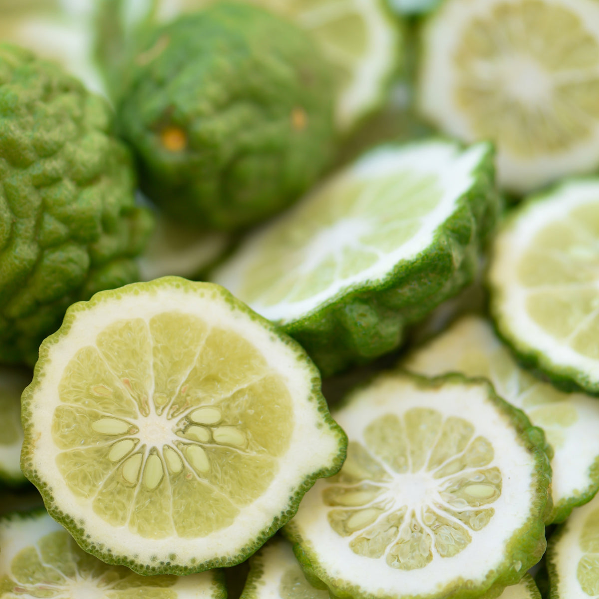 Bergamot Fragrance Oil
