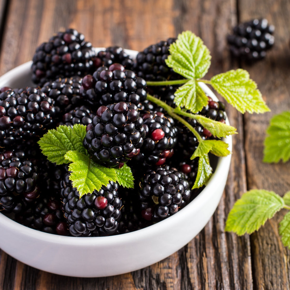 Blackberry & Bay Fragrance Oil