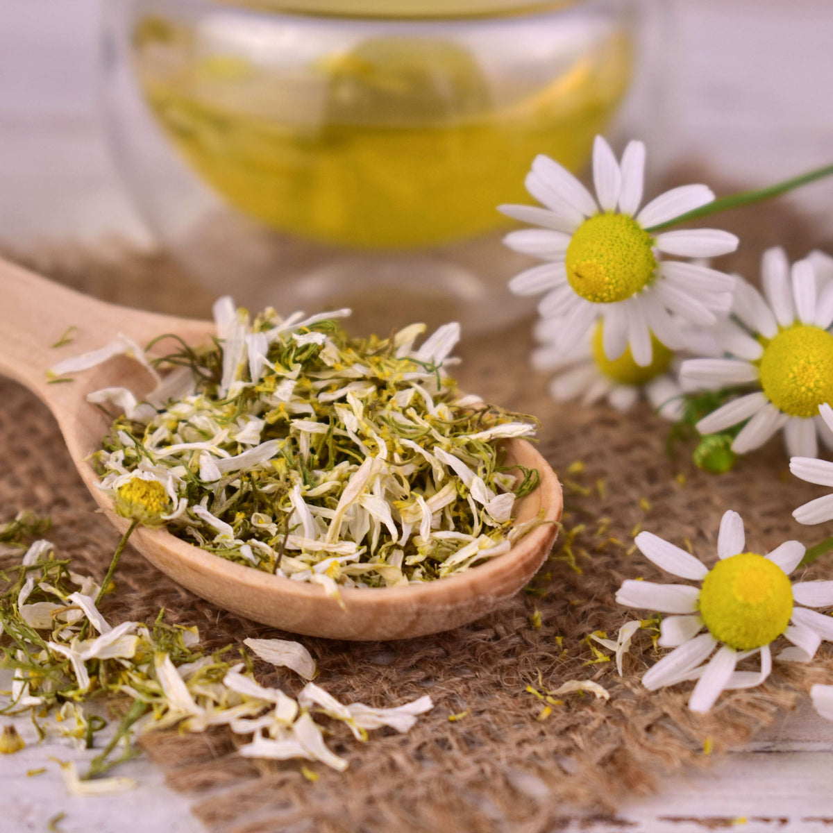 Sweet Chamomile Fragrance Oil