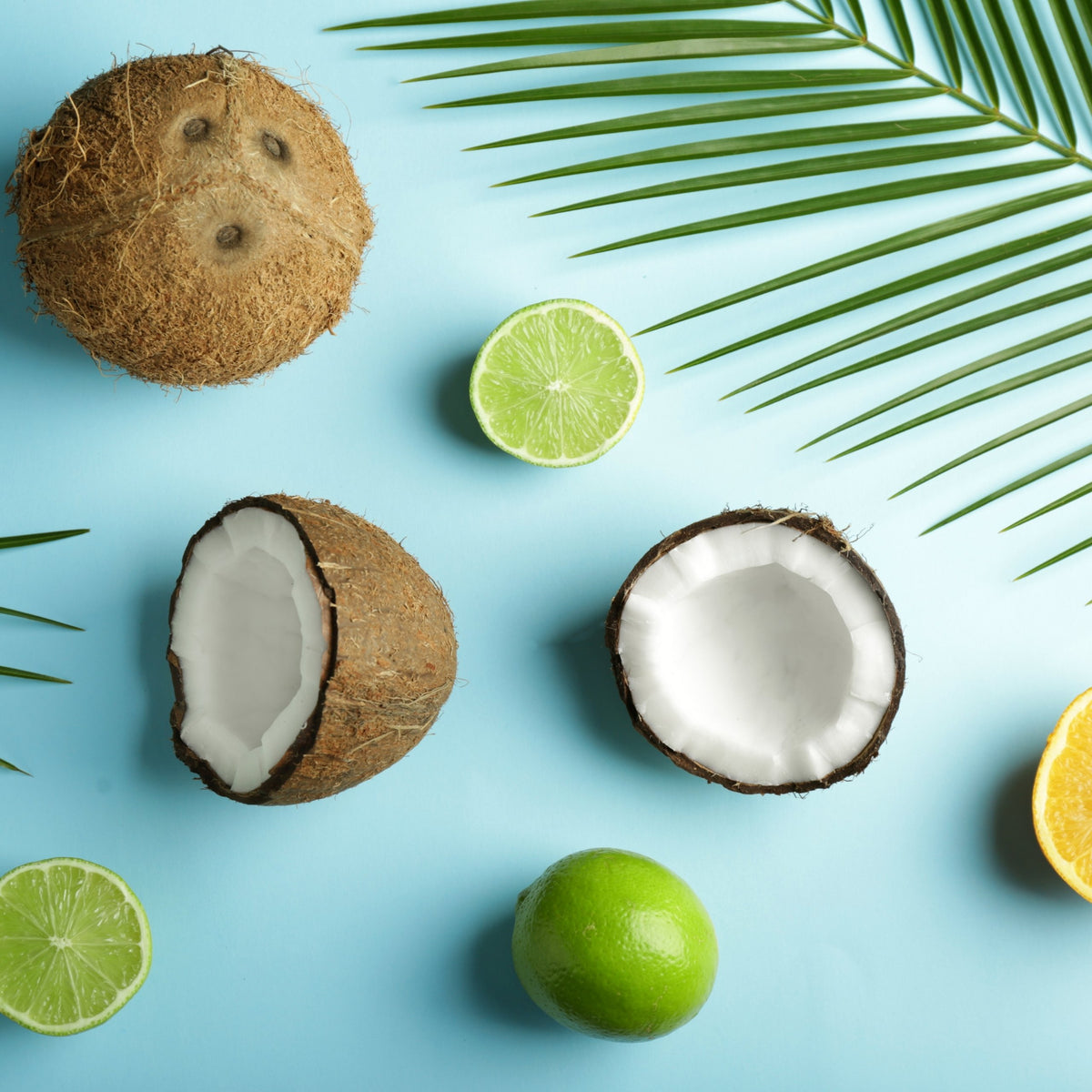 Coconut Lime Fragrance Oil