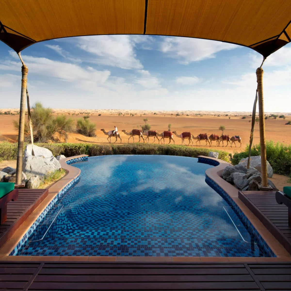 Desert Suite Dubai Type Fragrance Oil