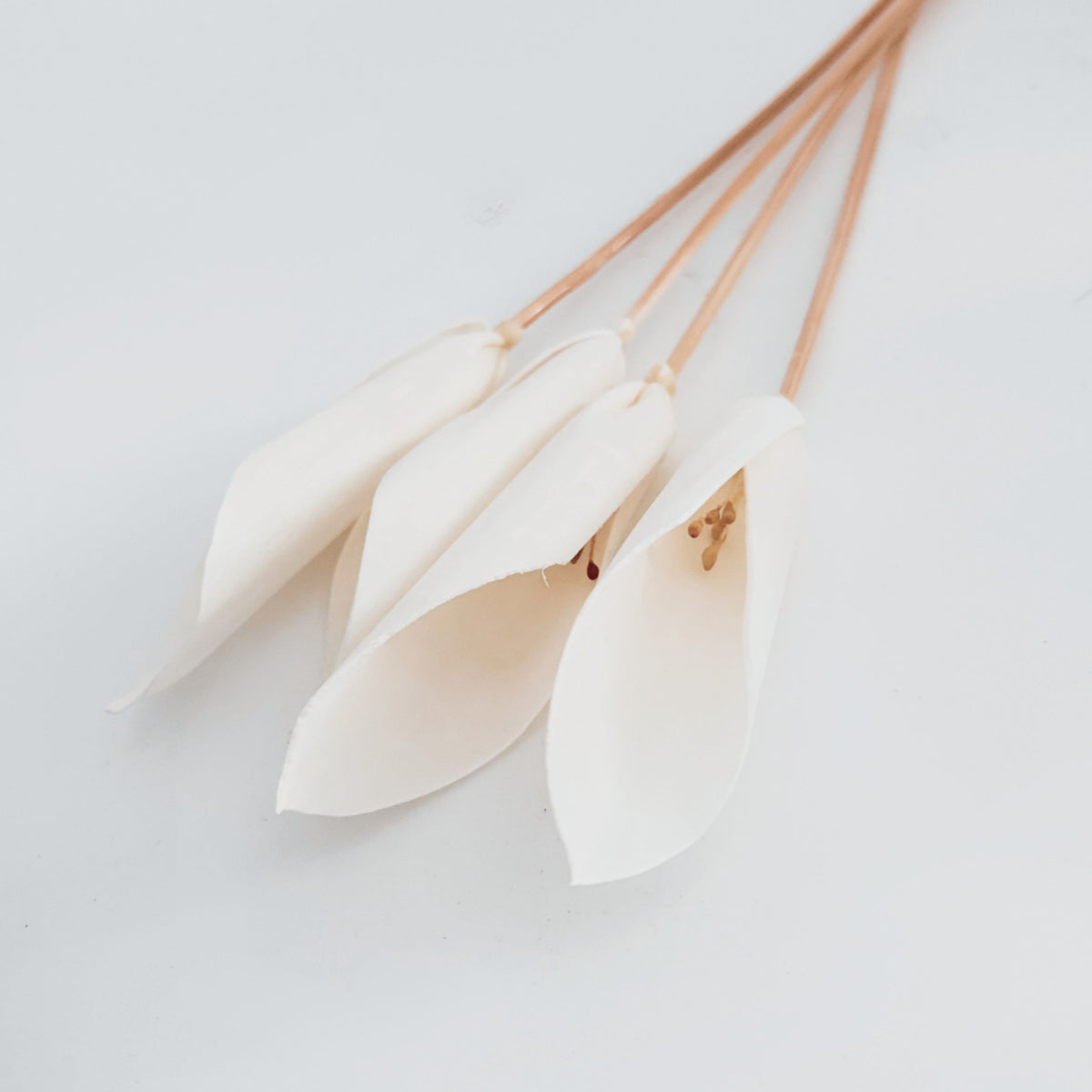 Lily Reed Sticks Natural