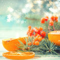 Noel Fragrance Oil