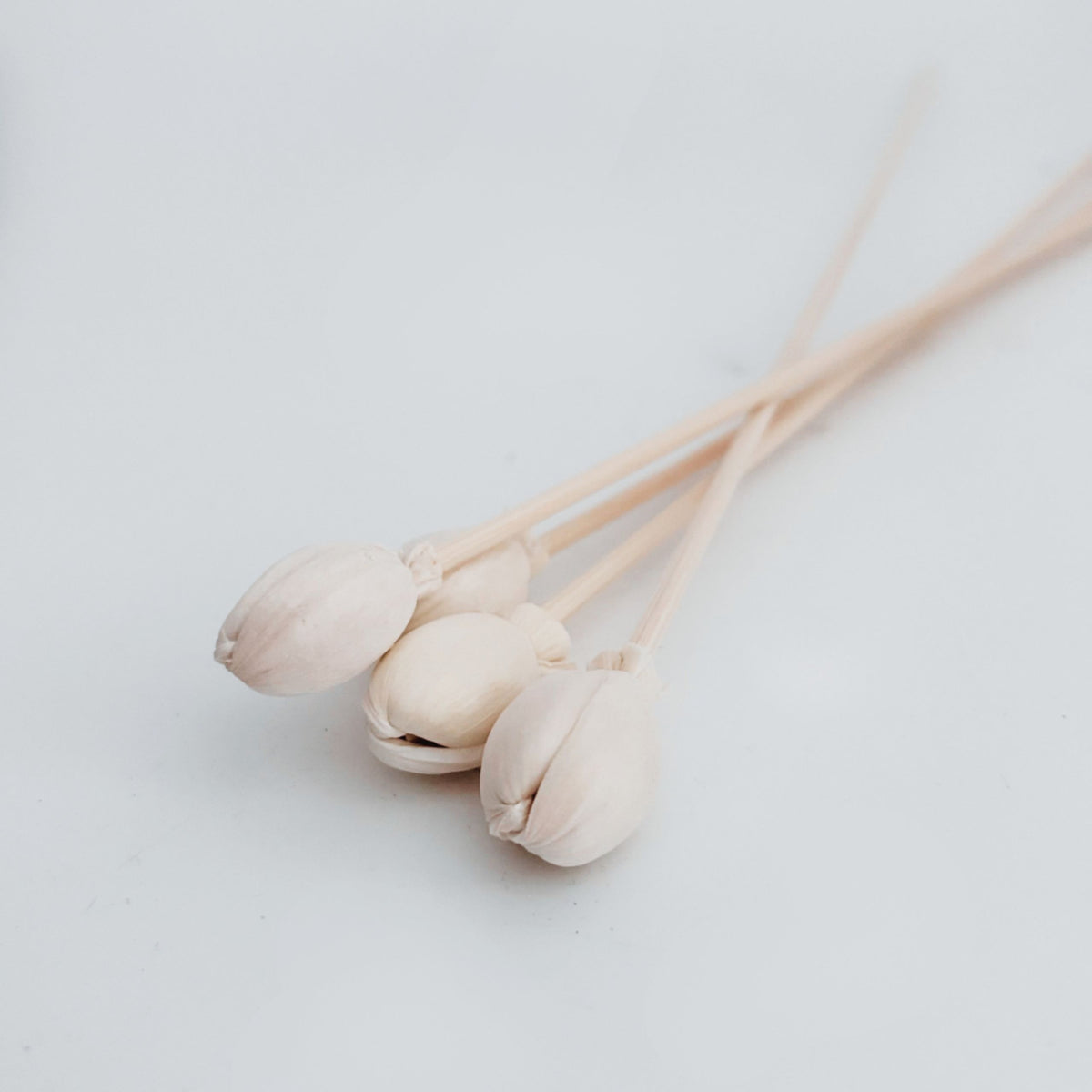 Rose Bud Reed Sticks Natural