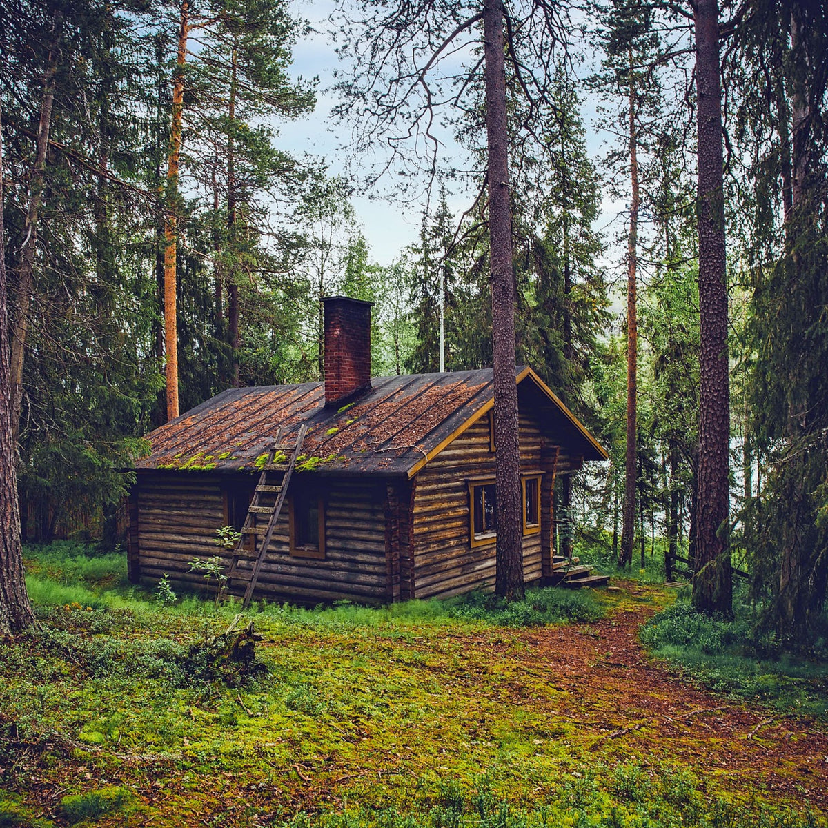 Rustic Lodge Fragrance Oil