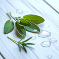 White Sage and Rosemary Fragrance Oil