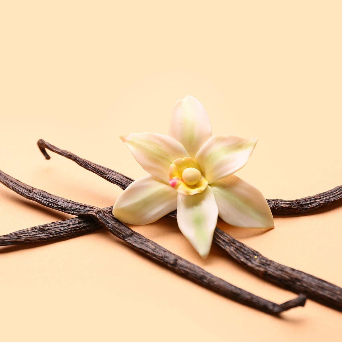 Vanilla Fragrance Oil