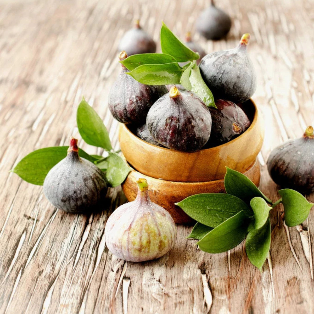 Wild Fig and Apple Blossom Fragrance Oil