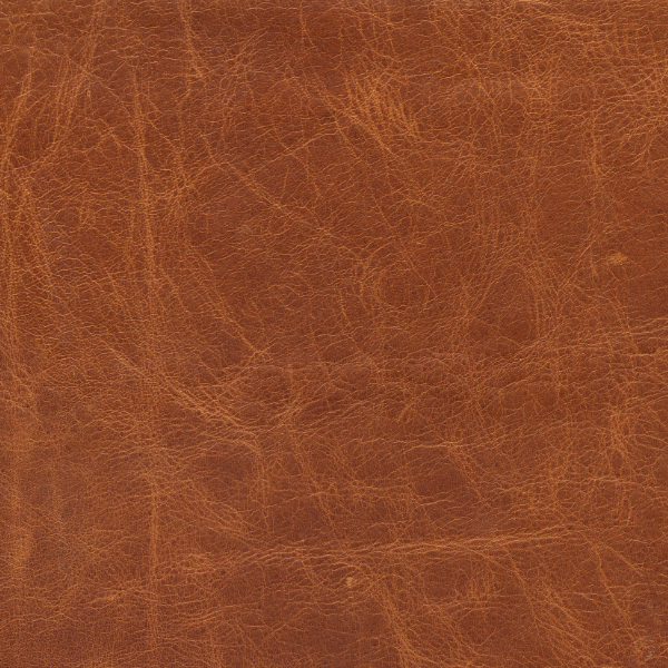 Plum Wood & Clove Leaf Premium Fragrance Oil image 3
