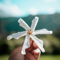 Tahitian Tiare Flower<br> Fragrance Oil image 0