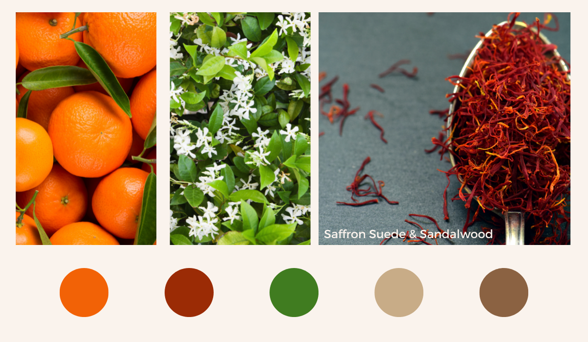 Saffron Suede & Sandalwood <br> Fragrance Oil image 1