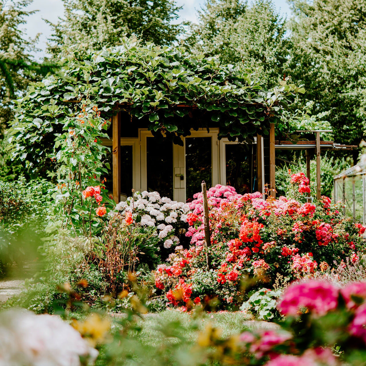 English Garden<br> Fragrance Oil image 0