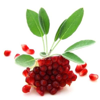 Pomegranate and Sage Fragrance Oil