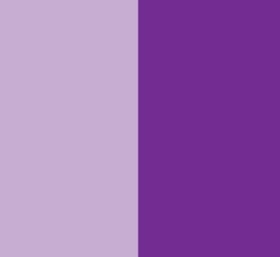 Soap Dye Liquid Purple