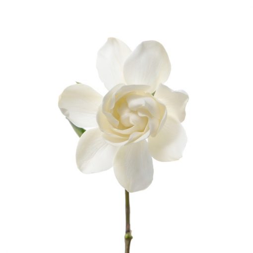 Vintage Gardenia Fragrance Oil