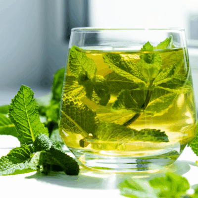Wild Mint Fragrance Oil