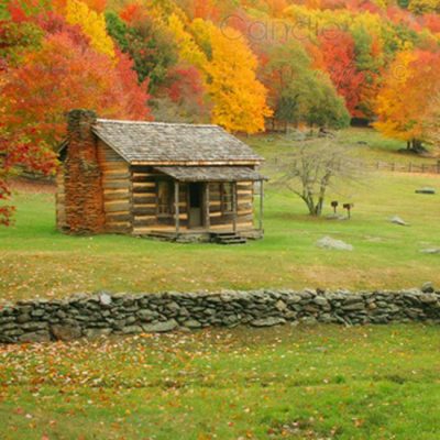 Rustic Lodge Fragrance Oil