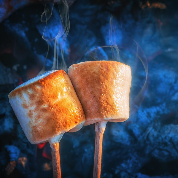 List 32+ Stock Images can you roast marshmallows over a candle Updated List 32+ Stock Images can you roast marshmallows over a candle Updated