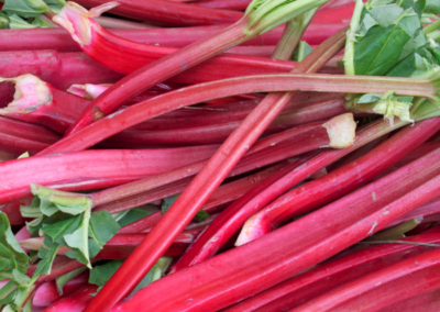 Rhubarb Olome Notes