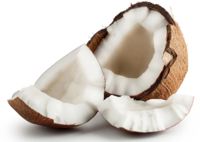 Coconut