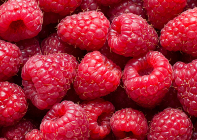 Raspberry Olome Fragrance Mid Note