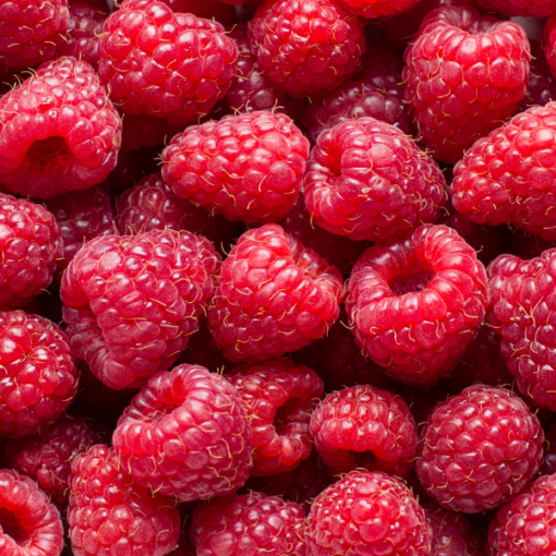 Raspberry Olome Fragrance Mid Note