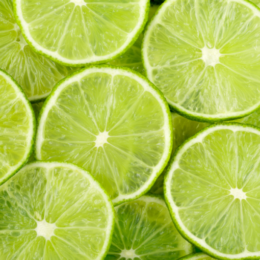 Persian Lime