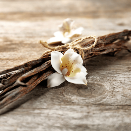 Vanilla Woods Fragrance Oil