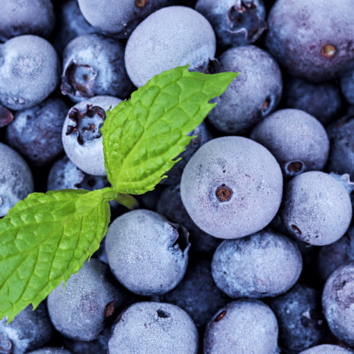 Minted Blueberry Fragrance Oil