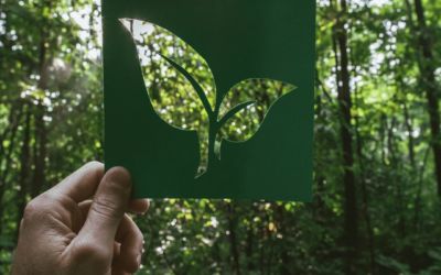 Eco-Friendly Candle Making: Sustainable Tips for a Greener Glow
